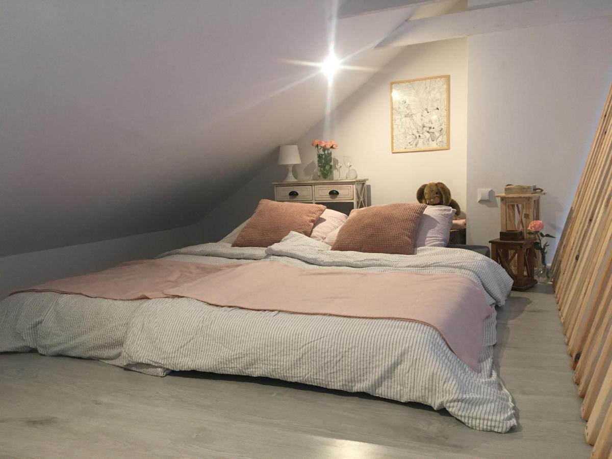 Apartament Z Antresola Okszow Kültér fotó